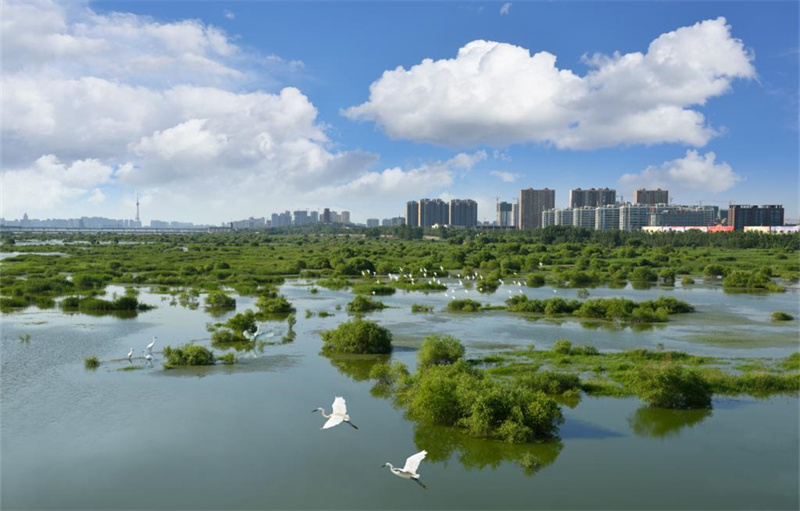 周邊配套沂河國家濕地公園