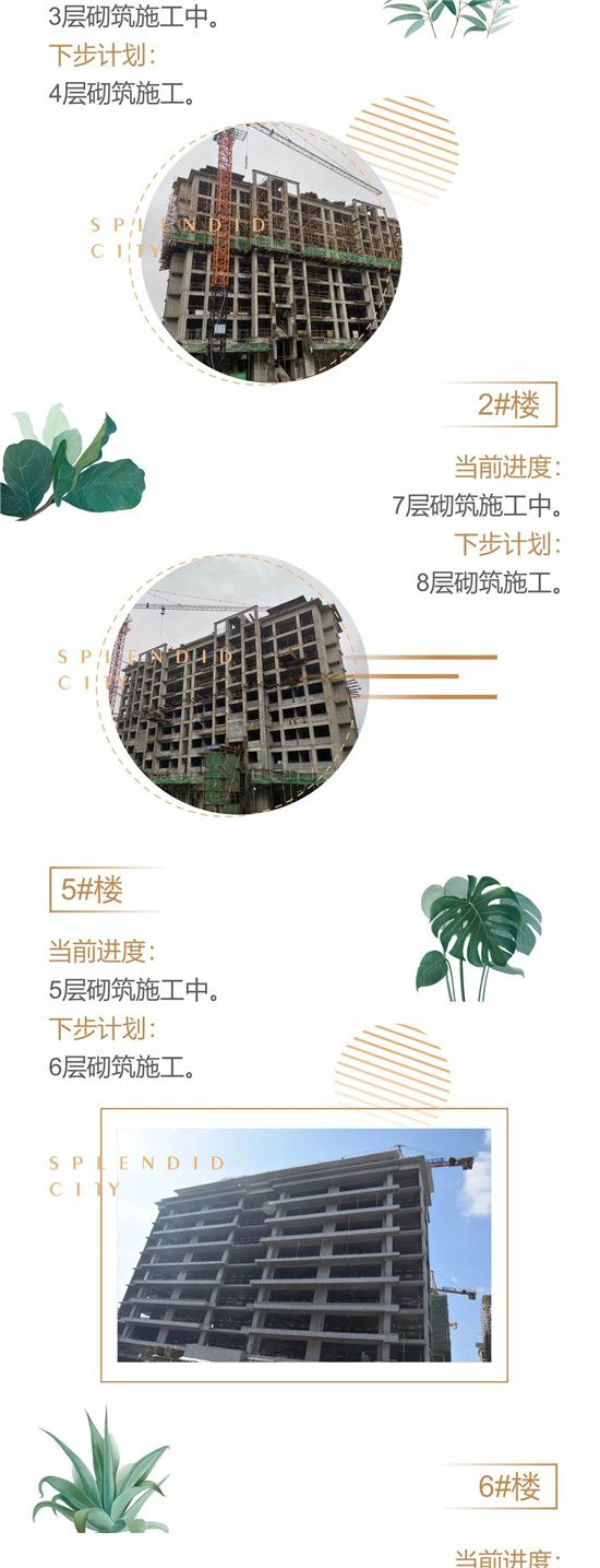 初夏已至，家音來報|開元·錦都 5月工程進度播報